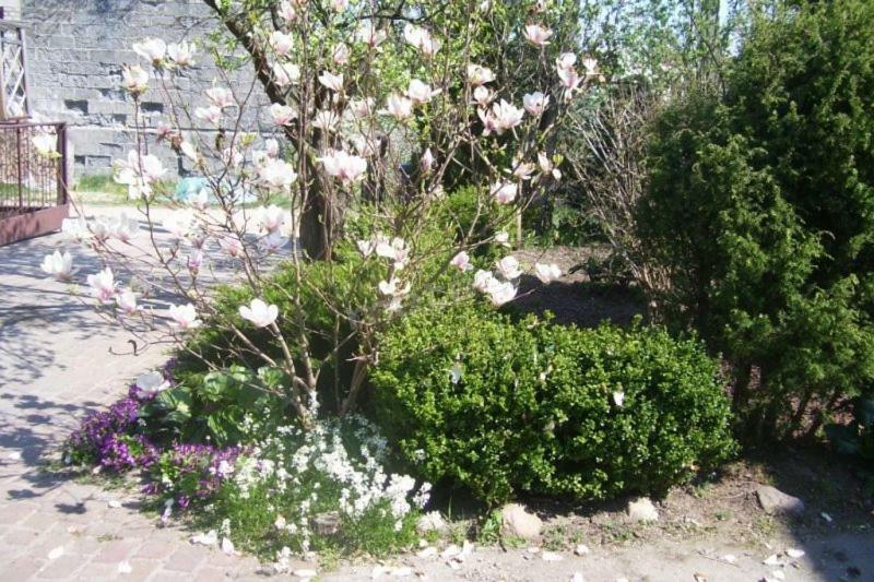 Pokoje Goscinne Pod Magnolia เยียเล ภายนอก รูปภาพ